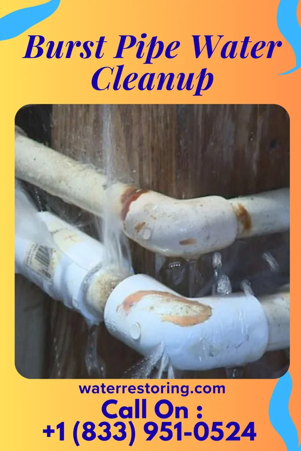 Burst Pipe Water Cleanup in Cherry Grove, WA